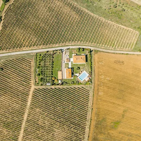 Agriturismo Antica Corte - Peonie דירה *